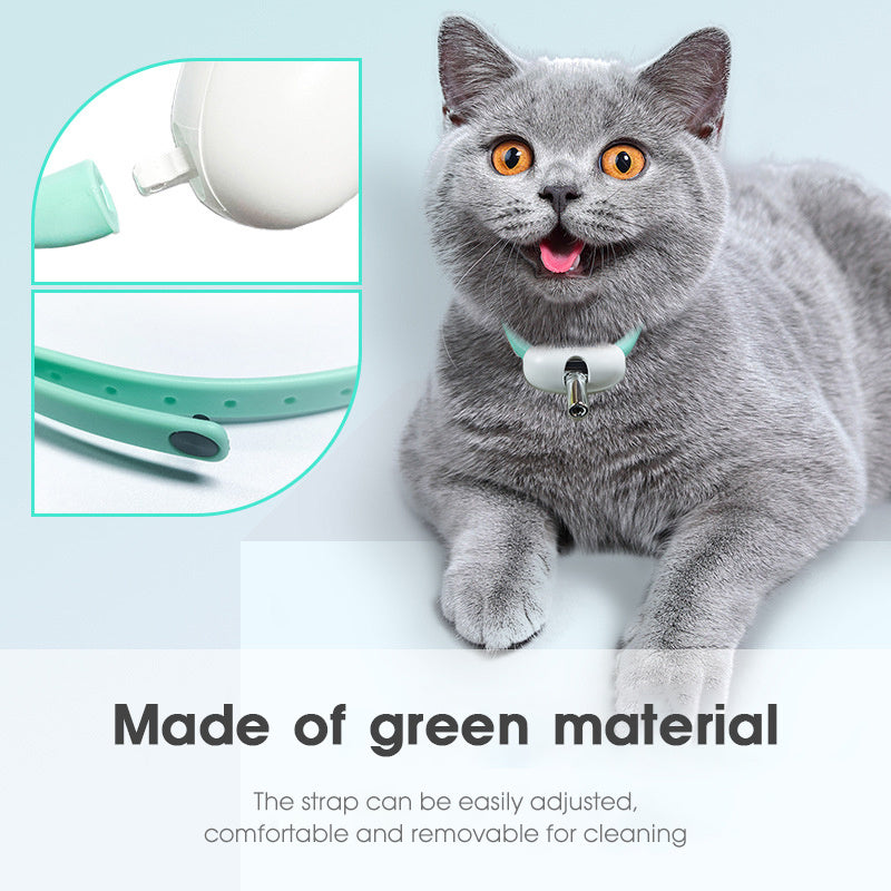 "Pet Laser"