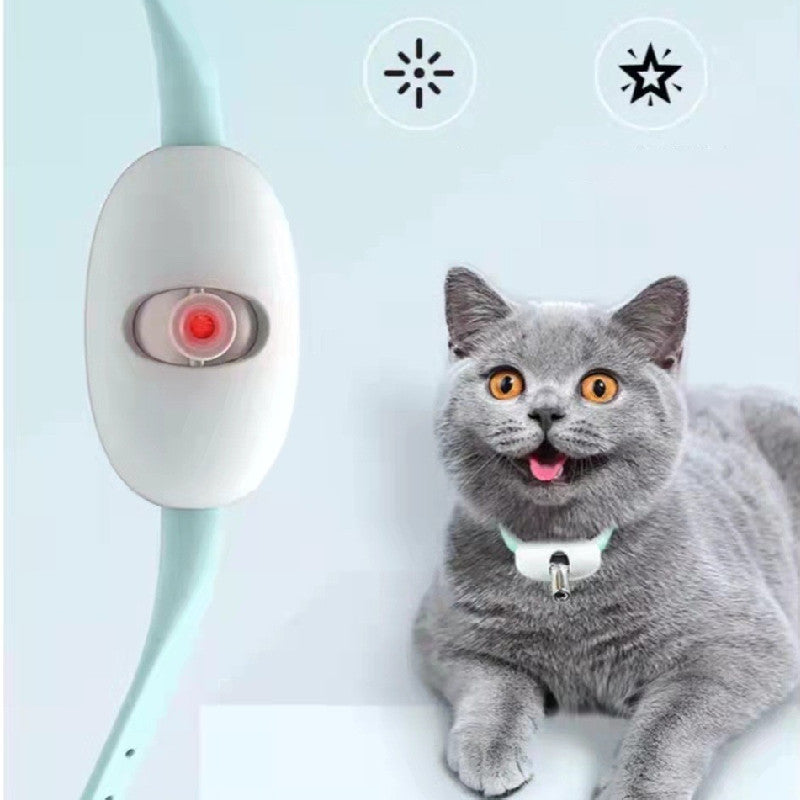 "Pet Laser"