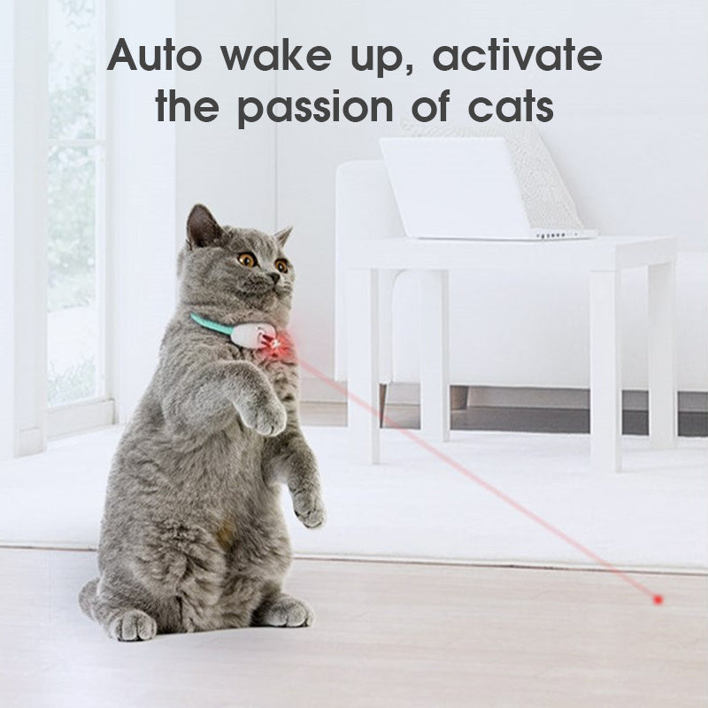"Pet Laser"