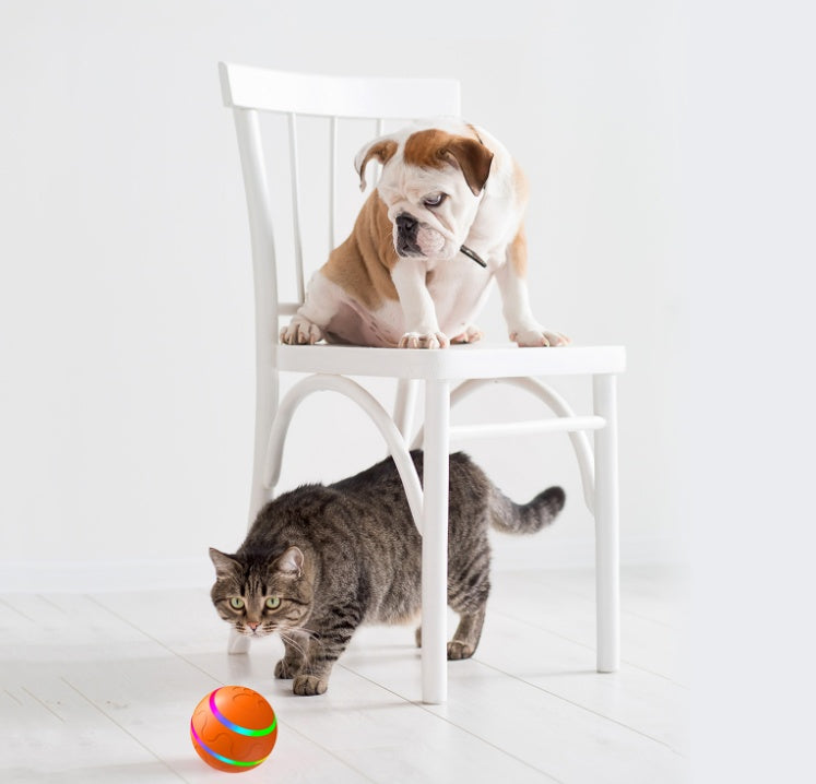Smart Interactive Cat Ball