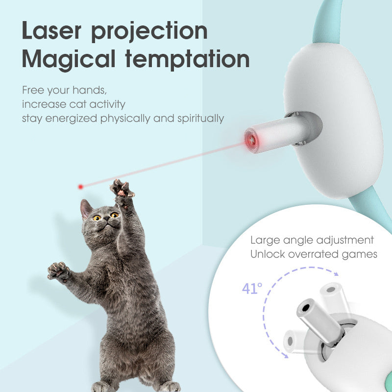"Pet Laser"