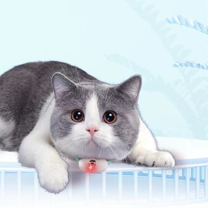 "Pet Laser"