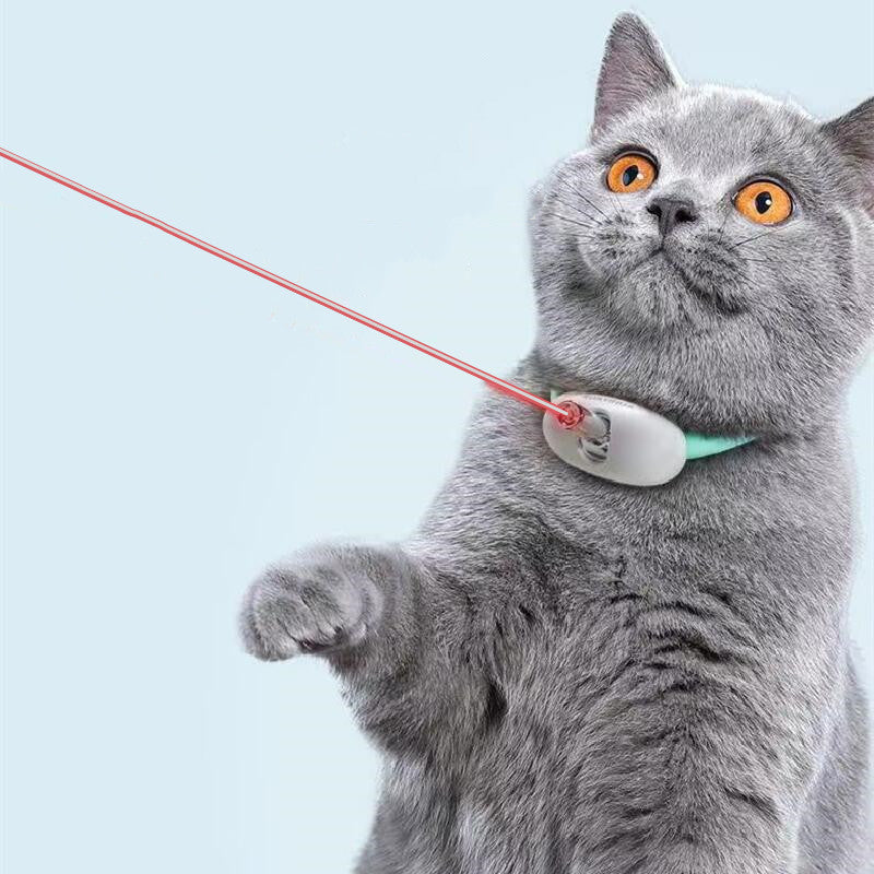 "Pet Laser"