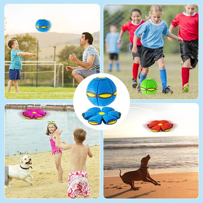 Pet Toy Flying Saucer Ball