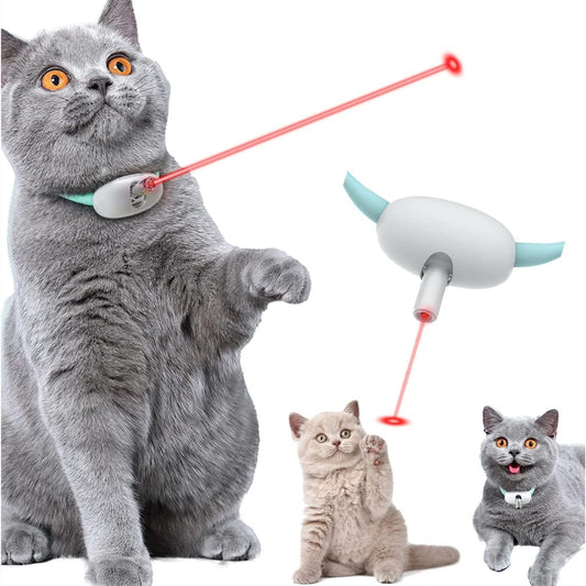 "Pet Laser"
